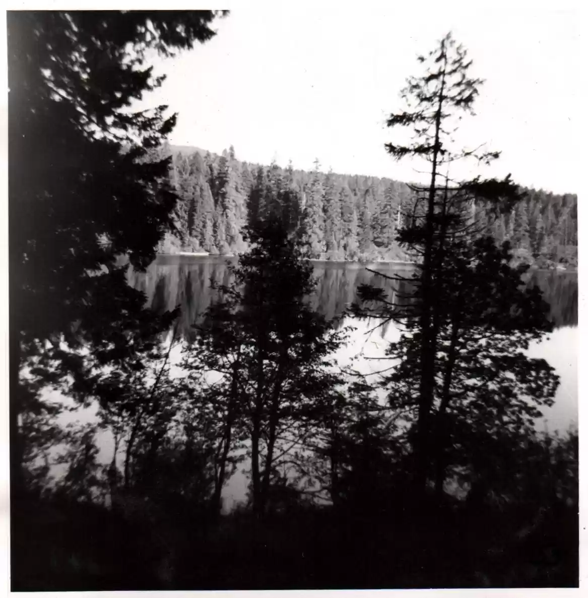 53 - Feast at Belknap Springs, OR